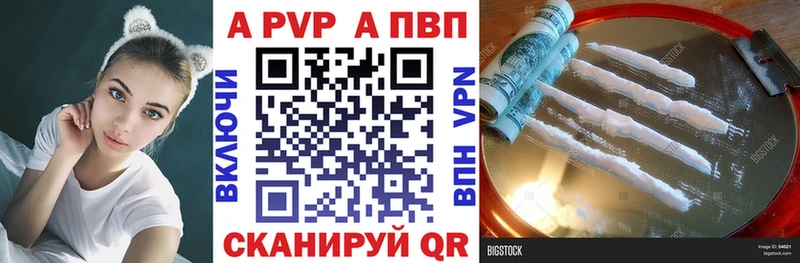 Где купить наркотики Светогорск Псилоцибиновые грибы КОКАИН Меф ГАШИШ A-PVP