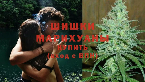 jwh Пересвет