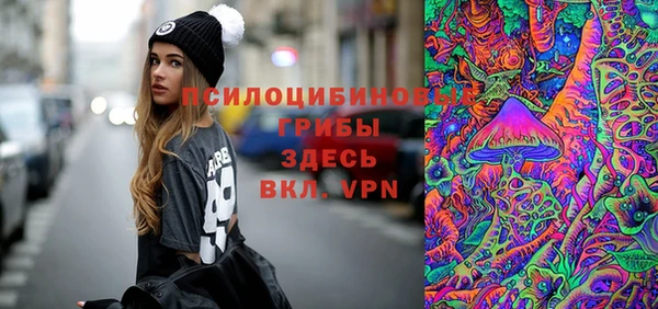 spice Пестово