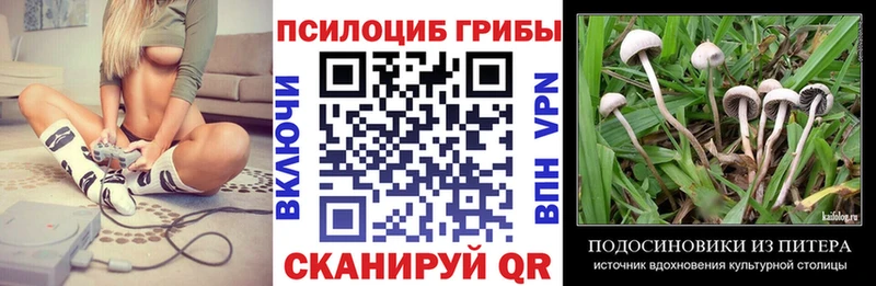 Галлюциногенные грибы Magic Shrooms  купить наркотик  Светогорск 