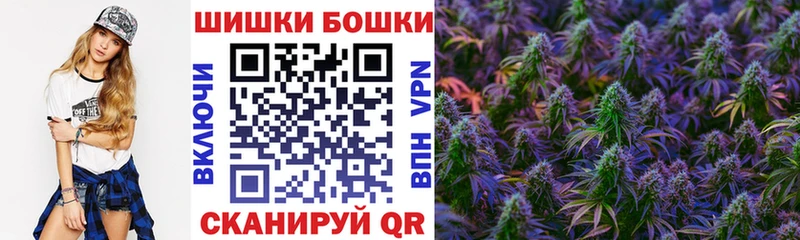 наркота  Светогорск  shop формула  Конопля сатива 